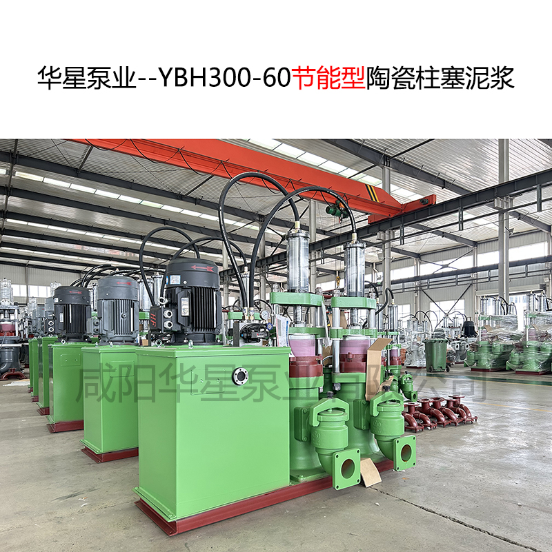 陶瓷柱塞泵結(jié)構(gòu)圖及原理